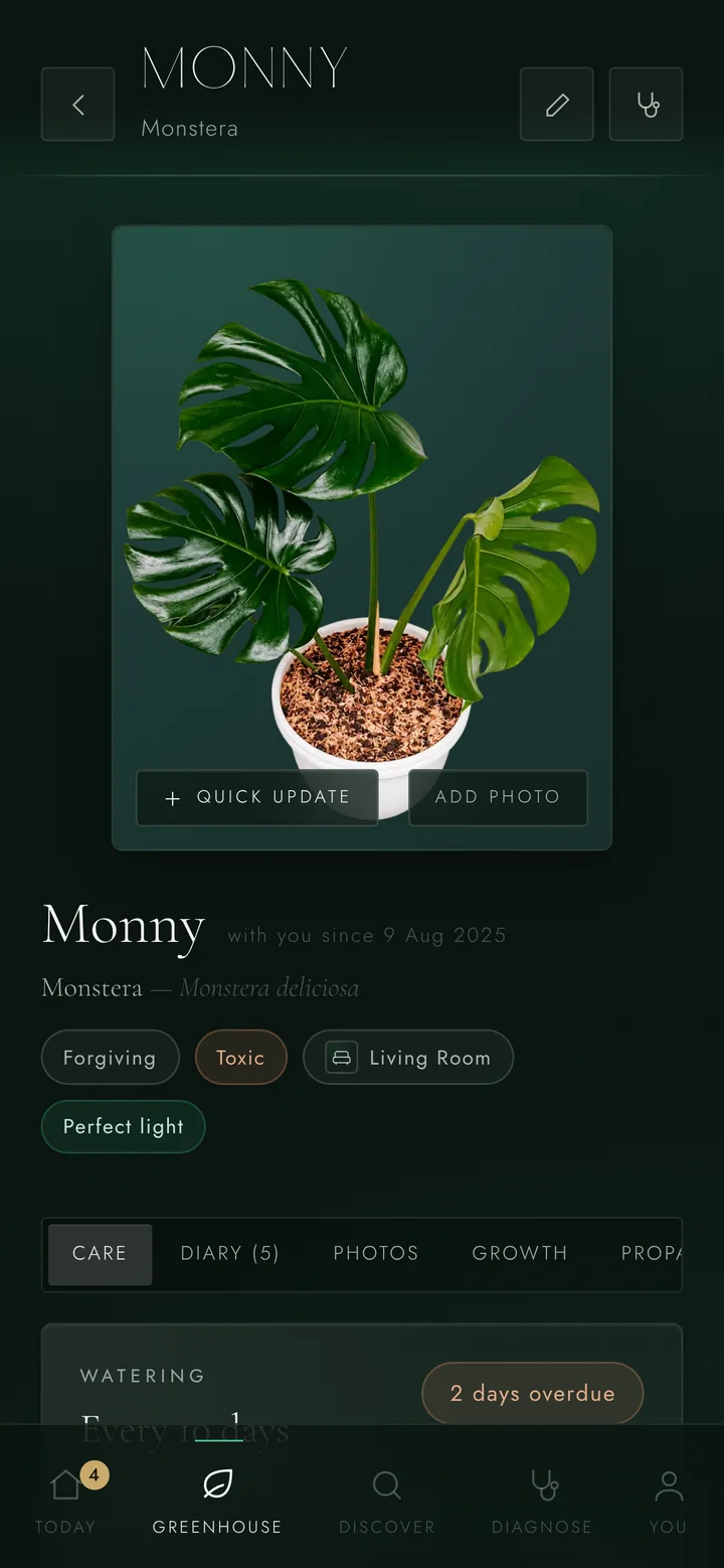 Monny the Monstera's page in Sprout: a photograph of the plant, its botanical name, tags reading Forgiving, Toxic, Living Room and Perfect light, and tabs for care, diary, photos, growth and propagation.